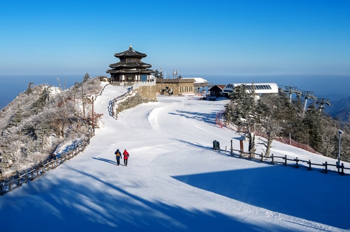 Himachal Pradesh Travel Bucket List: Famous Places You Can’t Miss
