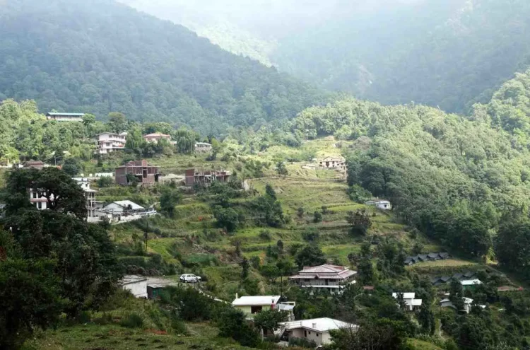 Pangot – A Bird Watcher’s Paradise in Uttarakhand